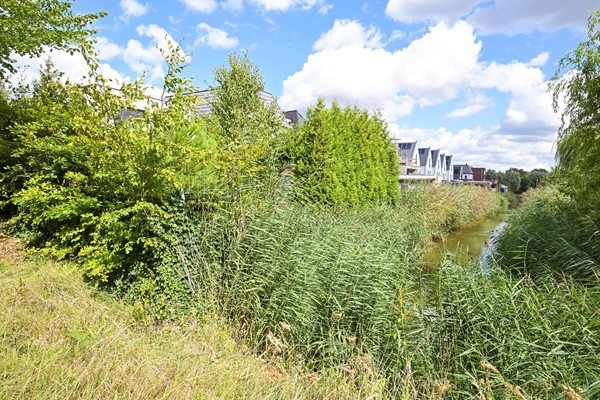 Medium property photo - Abdis Johannastraat 28, 2544 NE Den Haag